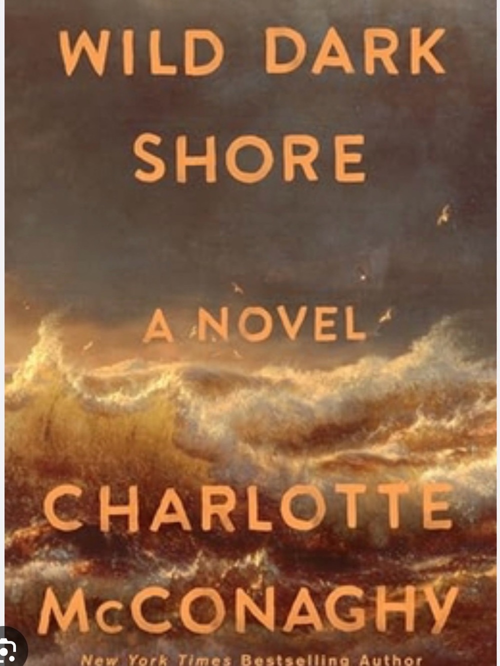 Wild Dark Shore by Charlotte McConaghy - Brown & Orange Book Cover